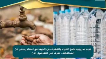 عودة تدريجية لضخ المياه والكهرباء في الجيزة مع اعتذار رسمي من المحافظة.. تعرف على التفاصيل الآن